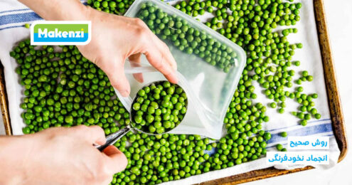 روش صحیح انجماد نخودفرنگی