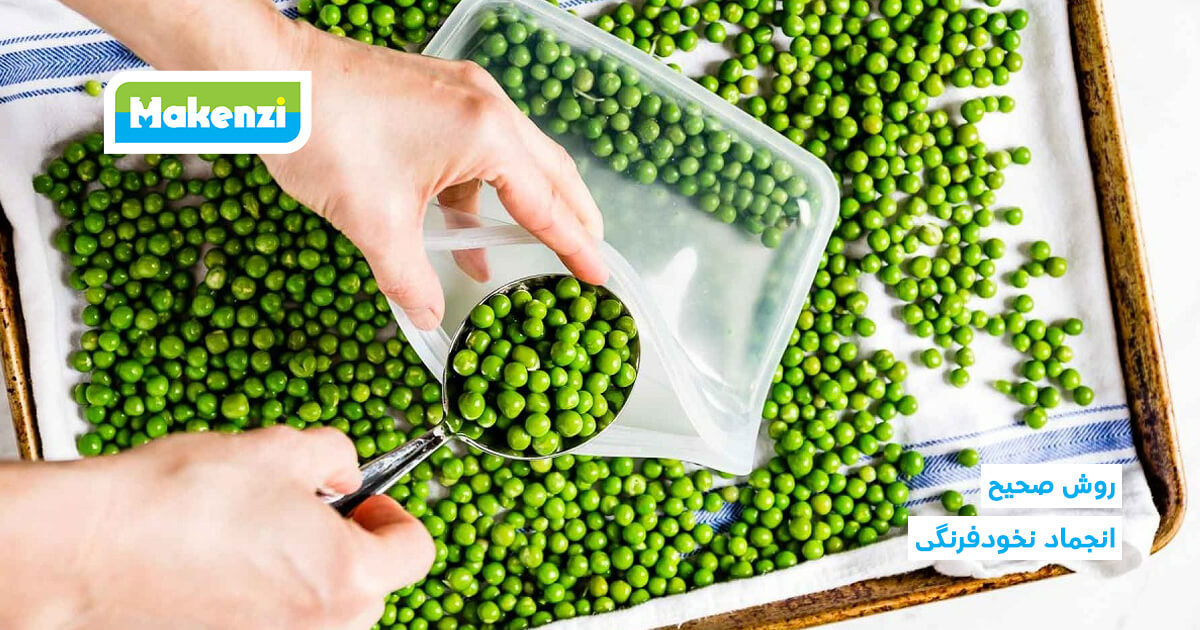 انجماد نخودفرنگی